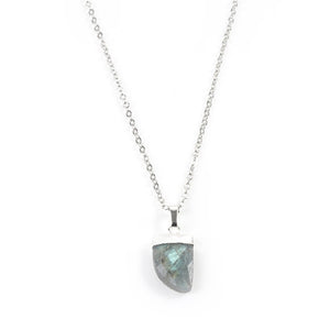 Labradorite Claw Necklace in White Gold