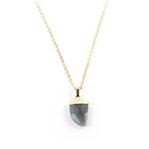 Labradorite Claw Necklace in Yellow Gold